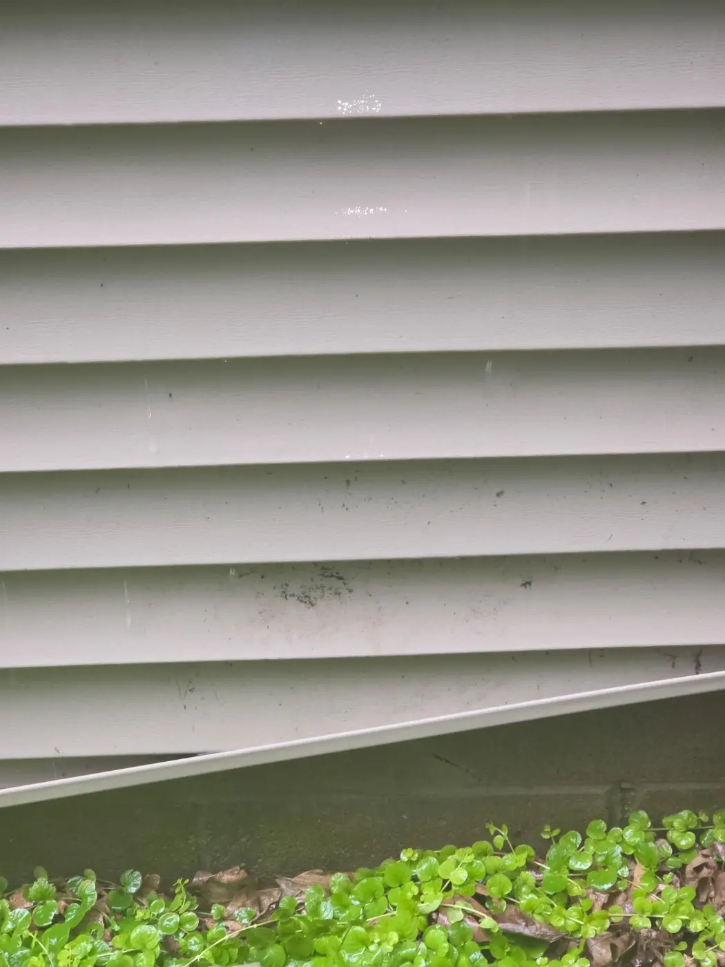 Before cleaning: Large Modern Residence — Victor, NY
