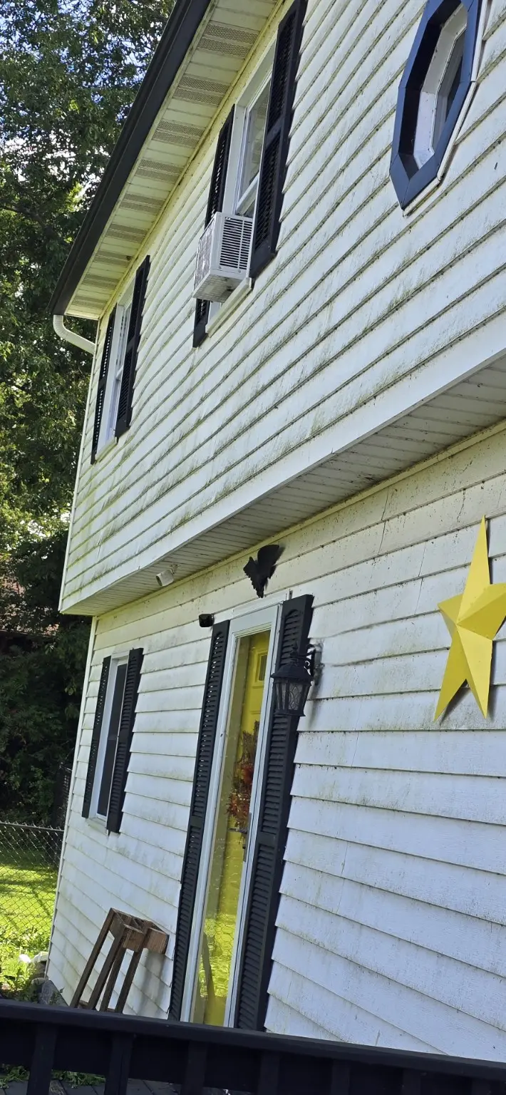 Before cleaning: Front siding and trim